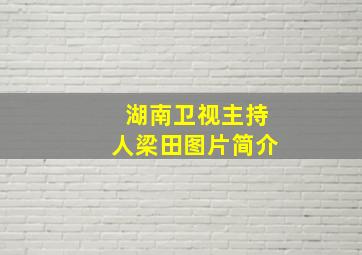 湖南卫视主持人梁田图片简介