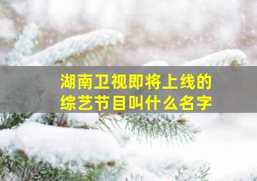 湖南卫视即将上线的综艺节目叫什么名字