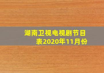 湖南卫视电视剧节目表2020年11月份