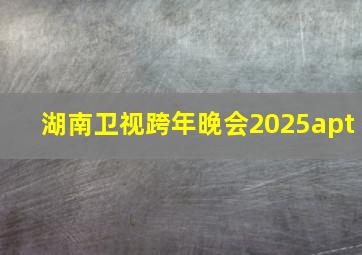 湖南卫视跨年晚会2025apt