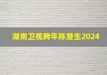 湖南卫视跨年陈楚生2024