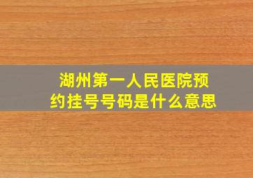 湖州第一人民医院预约挂号号码是什么意思