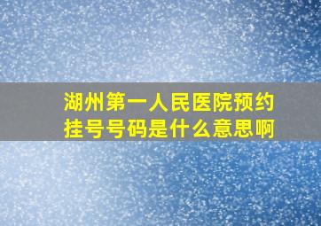 湖州第一人民医院预约挂号号码是什么意思啊