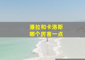 潘拉和卡洛斯哪个厉害一点