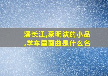 潘长江,蔡明演的小品,学车里面曲是什么名