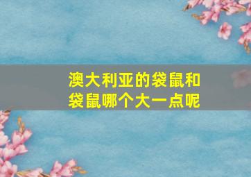 澳大利亚的袋鼠和袋鼠哪个大一点呢