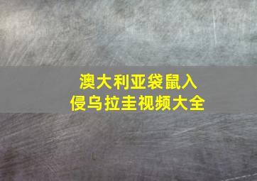 澳大利亚袋鼠入侵乌拉圭视频大全