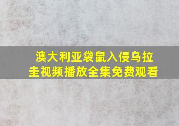 澳大利亚袋鼠入侵乌拉圭视频播放全集免费观看