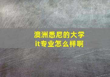 澳洲悉尼的大学it专业怎么样啊