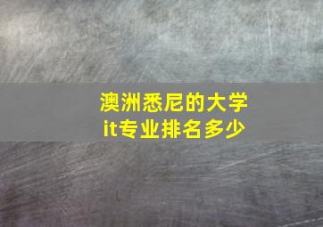 澳洲悉尼的大学it专业排名多少