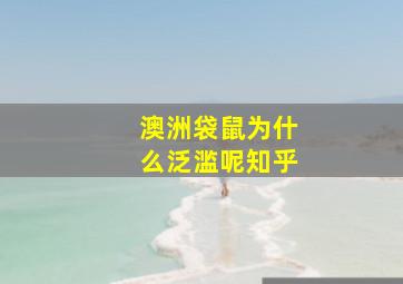 澳洲袋鼠为什么泛滥呢知乎