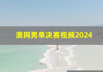 澳网男单决赛视频2024