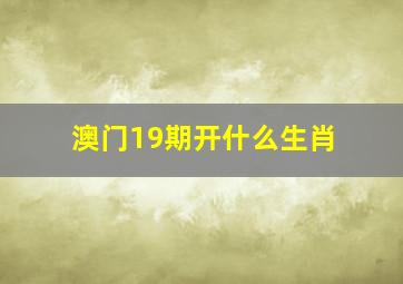 澳门19期开什么生肖