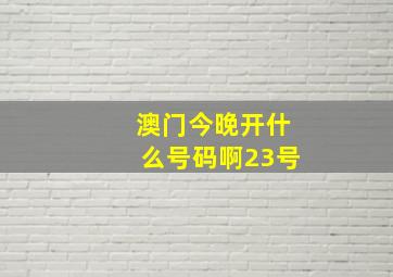 澳门今晚开什么号码啊23号