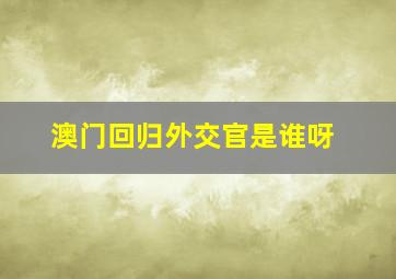 澳门回归外交官是谁呀