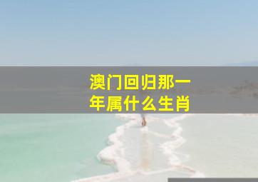 澳门回归那一年属什么生肖