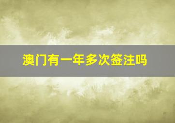 澳门有一年多次签注吗