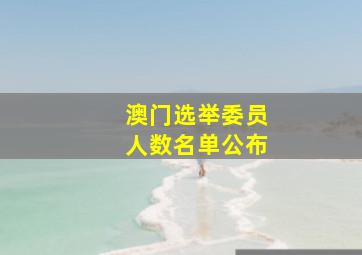 澳门选举委员人数名单公布