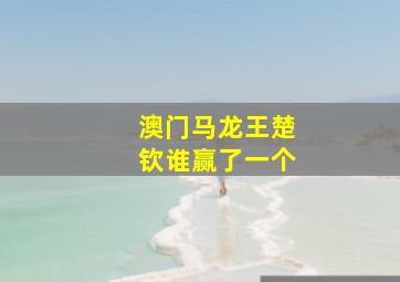 澳门马龙王楚钦谁赢了一个