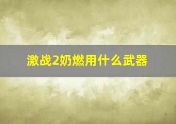 激战2奶燃用什么武器