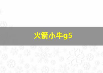 火箭小牛g5