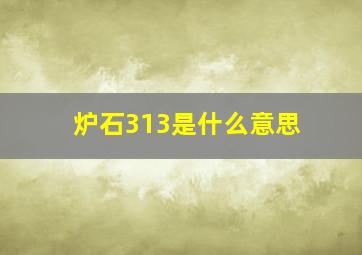 炉石313是什么意思