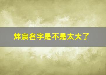 炜宸名字是不是太大了