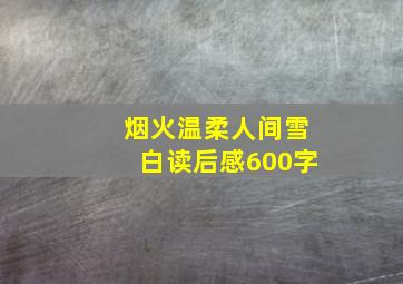 烟火温柔人间雪白读后感600字