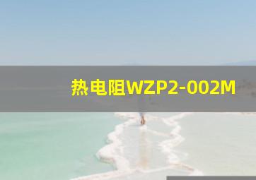 热电阻WZP2-002M