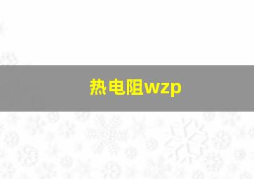 热电阻wzp