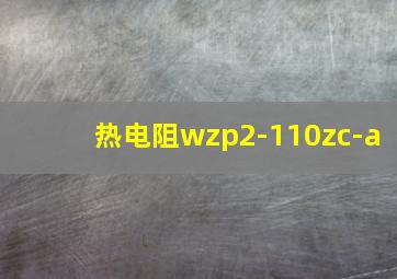 热电阻wzp2-110zc-a