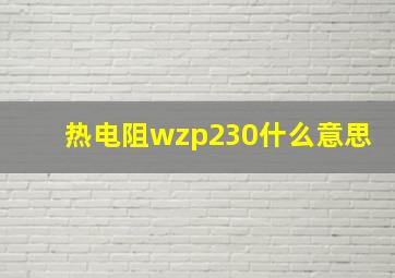 热电阻wzp230什么意思