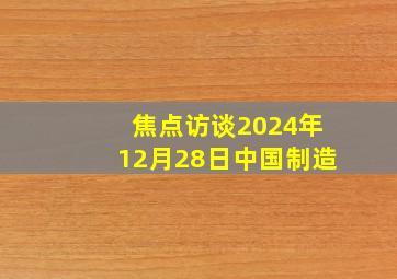 焦点访谈2024年12月28日中国制造