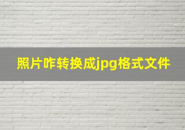 照片咋转换成jpg格式文件