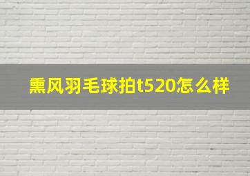 熏风羽毛球拍t520怎么样