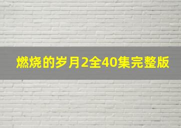 燃烧的岁月2全40集完整版