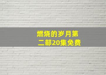 燃烧的岁月第二部20集免费