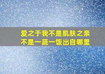 爱之于我不是肌肤之亲不是一蔬一饭出自哪里