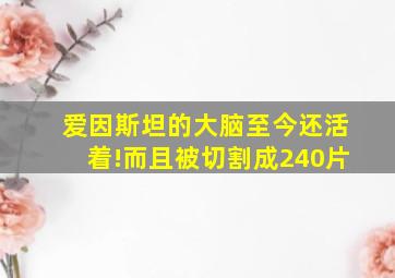 爱因斯坦的大脑至今还活着!而且被切割成240片