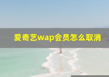 爱奇艺wap会员怎么取消