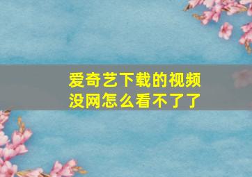 爱奇艺下载的视频没网怎么看不了了