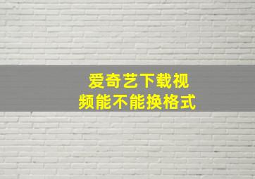 爱奇艺下载视频能不能换格式