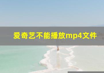 爱奇艺不能播放mp4文件