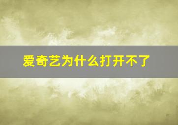 爱奇艺为什么打开不了