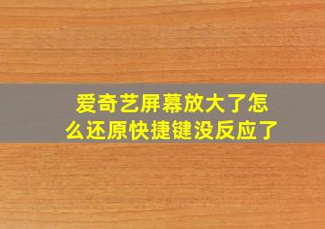 爱奇艺屏幕放大了怎么还原快捷键没反应了