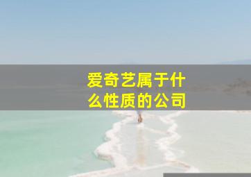 爱奇艺属于什么性质的公司