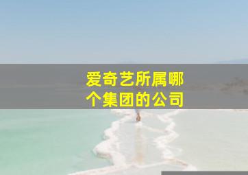 爱奇艺所属哪个集团的公司