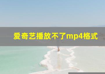 爱奇艺播放不了mp4格式