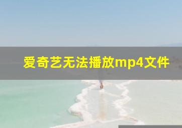 爱奇艺无法播放mp4文件