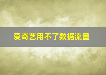 爱奇艺用不了数据流量